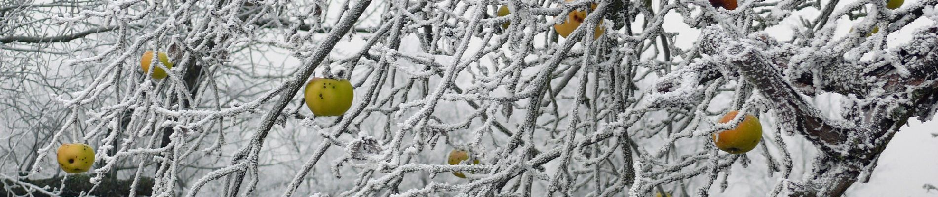 Percorso A piedi Mönchberg - Ortswanderweg Mönchberg 2 - Photo