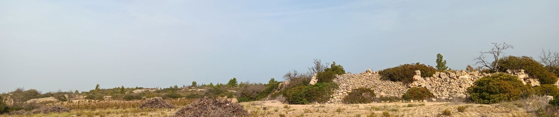 Tour Wandern Leucate - leucate - la franqui (via le plateau) - phare (via la falaise) - leucate (via le plateau) - Photo