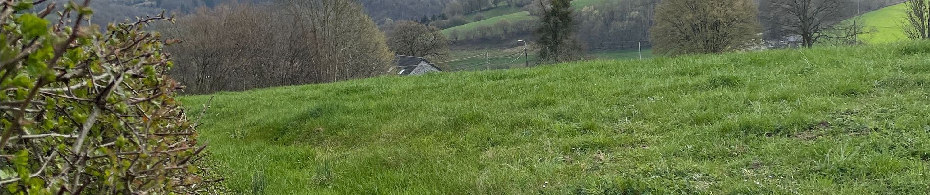 Tour Wandern Olne - Rafhay Vaux Nessonvaux prés de Srtaet - Photo