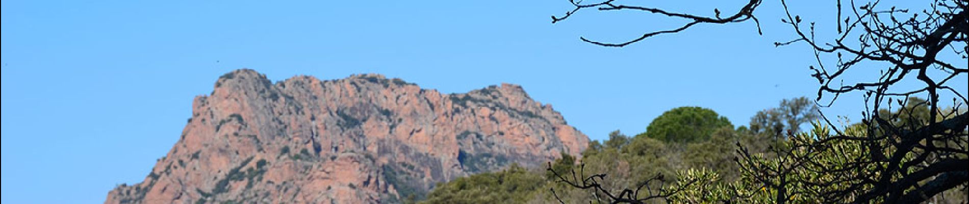 Randonnée Marche Roquebrune-sur-Argens - Roquebrune/Argens - 25 Ponts - ND de Pitié - Lac des clos - Photo