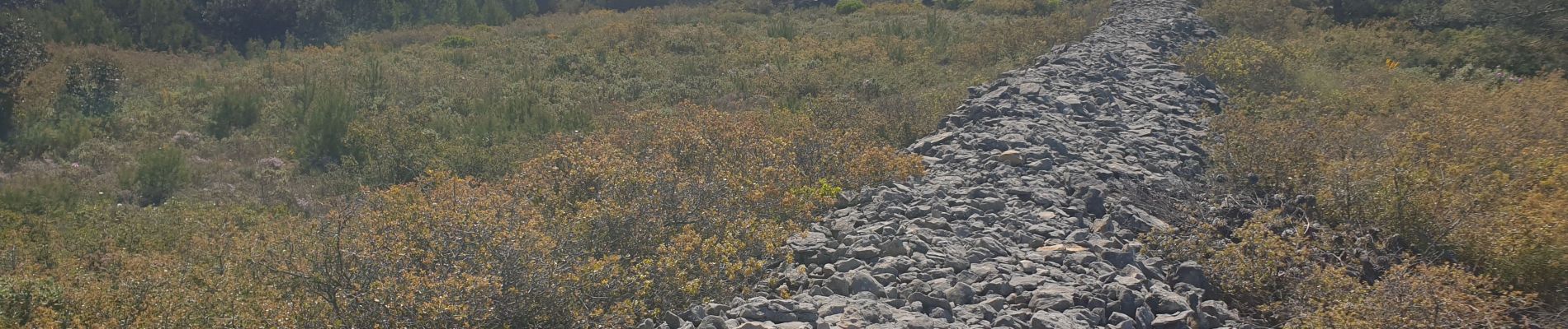 Randonnée Marche Villegly - Les Quatre vents - Photo