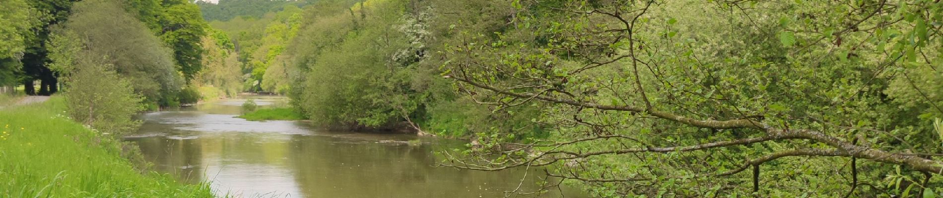 Trail Walking Torigny-les-Villes - Boucle depuis le Val de Vire - Photo