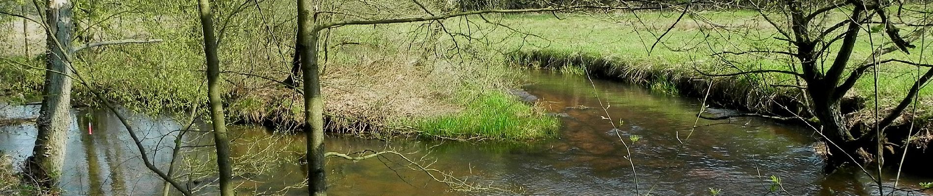 Tocht Te voet Munster - Kartoffelweg - Photo