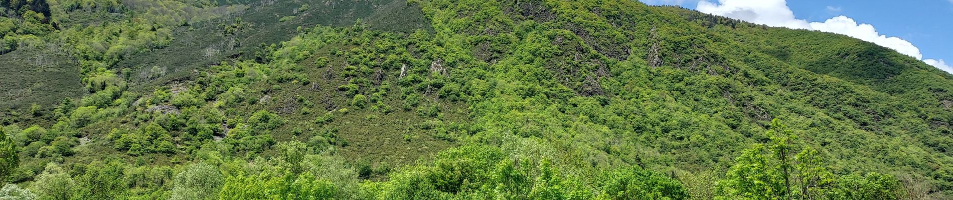 Randonnée Marche Vielle-Aure - la neste  - Photo