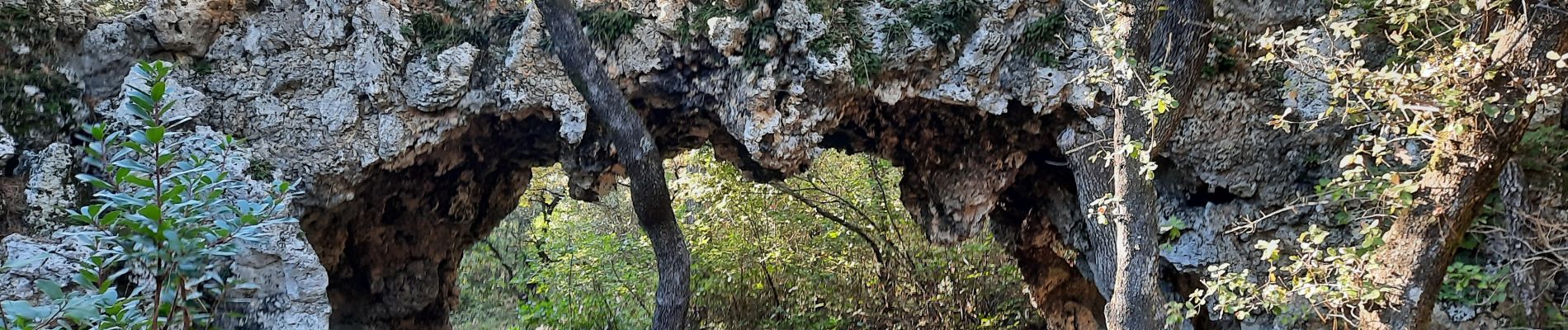 Randonnée Marche Donzère - Le Navon - Les Ruines de Belle-Eau 7km5 - Photo