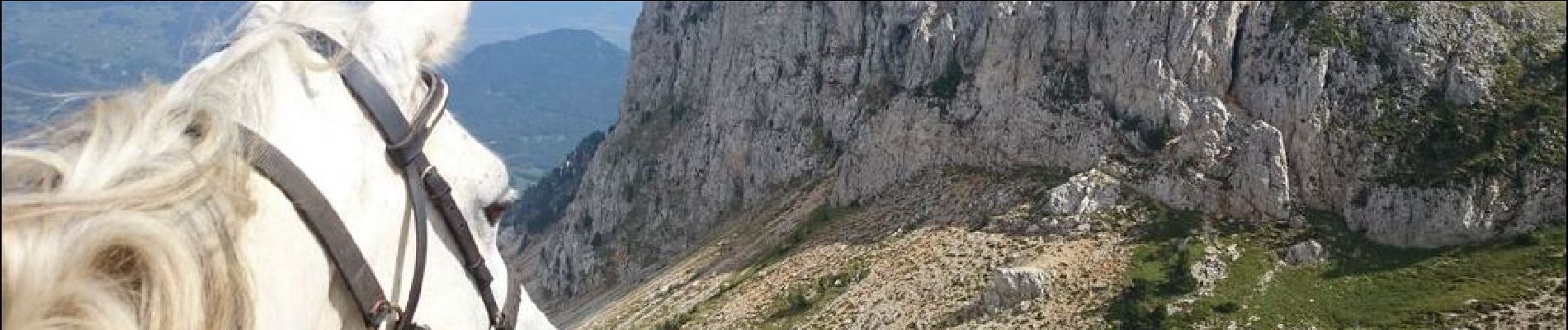 Trail Horseback riding Saint-Agnan-en-Vercors - Vassieux - Col du Rousset vers Grand Veymont - Photo