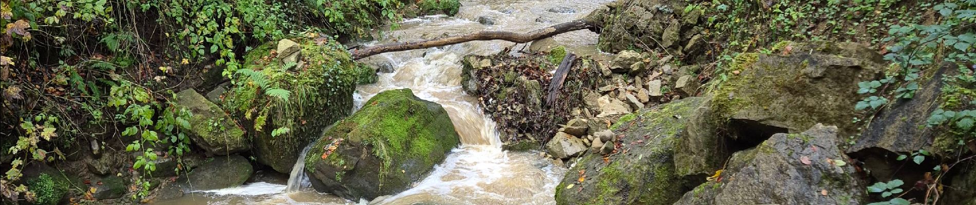 Trail Walking Echternach - Mullerthal E1 - Photo