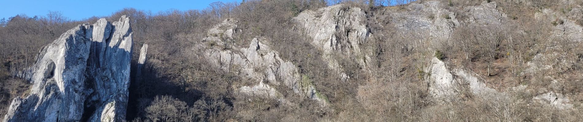 Excursión Senderismo Dinant - rando furfooz 2-03-2023 - Photo