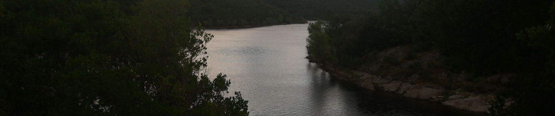 Tocht Mountainbike La Môle - Tour du lac de la Verne départ Pachacaïd - Photo