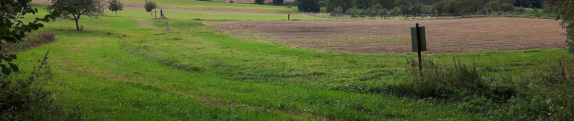 Tocht Te voet Buchs (ZH) - Hand - Regensberg - Photo