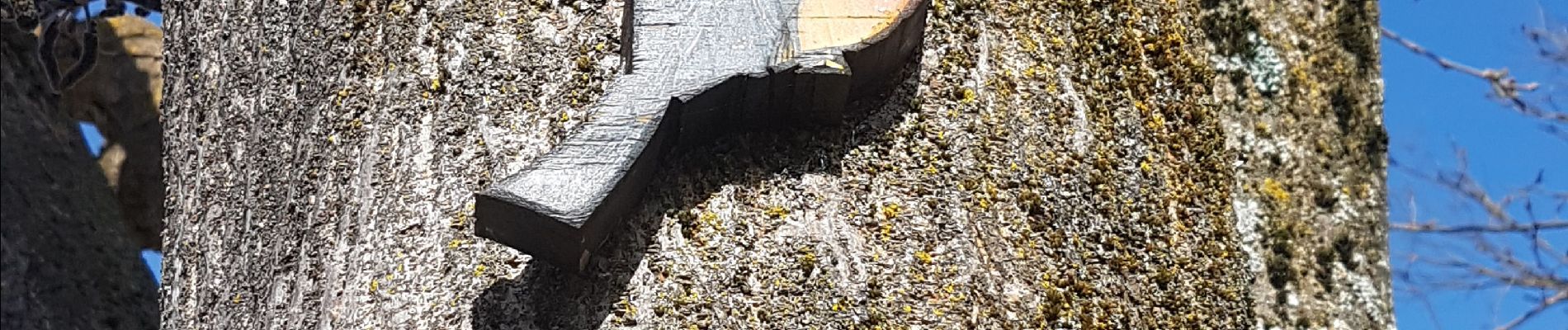 Randonnée Marche Navacelles - Cal  les aiguieres petites et grandes - Photo