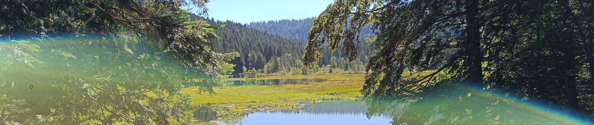 Tour Wandern Xonrupt-Longemer - longemer lispach 10/08/23 - Photo