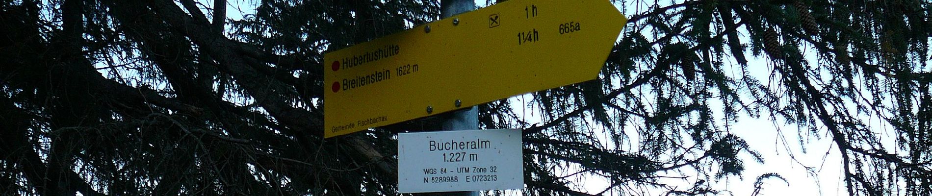 Excursión A pie Fischbachau - Steingrabner - Alm - Wirtsalm - Bad Feilnbach - Photo