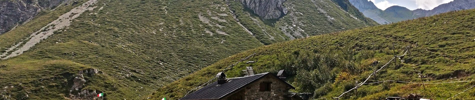 Excursión A pie Oltre il Colle - Sentiero dei fiori - Photo