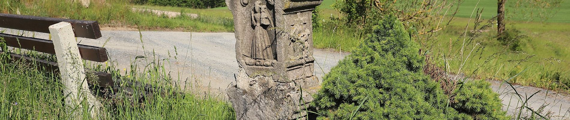 Tour Zu Fuß Wallenfels - Allerswald-Weg RT 14 - Photo