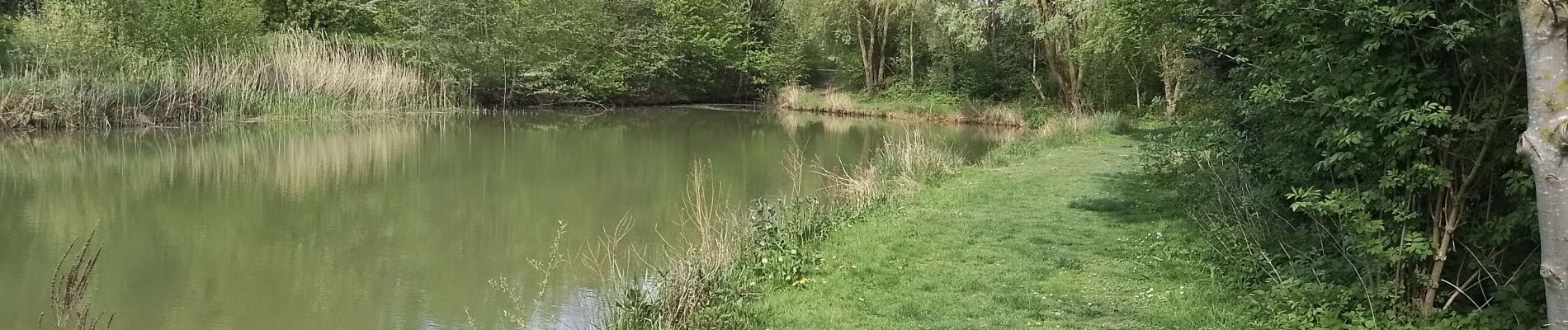 Randonnée Marche Allennes-les-Marais - Allennes les Marais Les étangs de Don - Photo