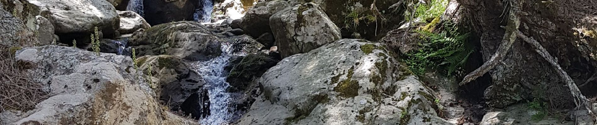 Trail Walking Asco - Haute-Corse- Gorges de l Asco - Photo