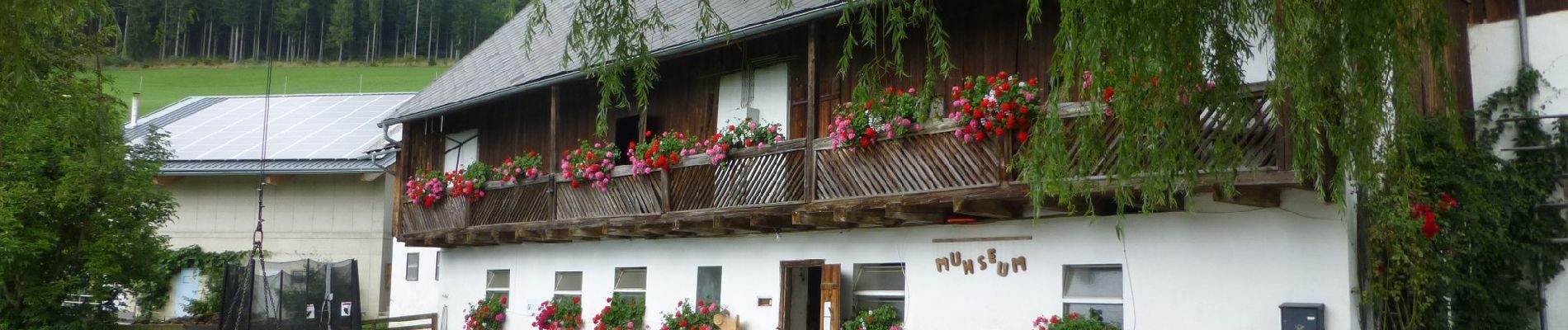 Tocht Te voet Fischbach - Wanderweg 3 - Dichterweg - Photo