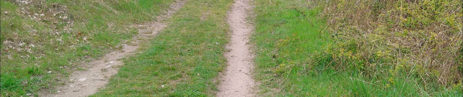 Excursión Senderismo Enval - Le sentier du Renard 🦊 l'Apage  - Photo