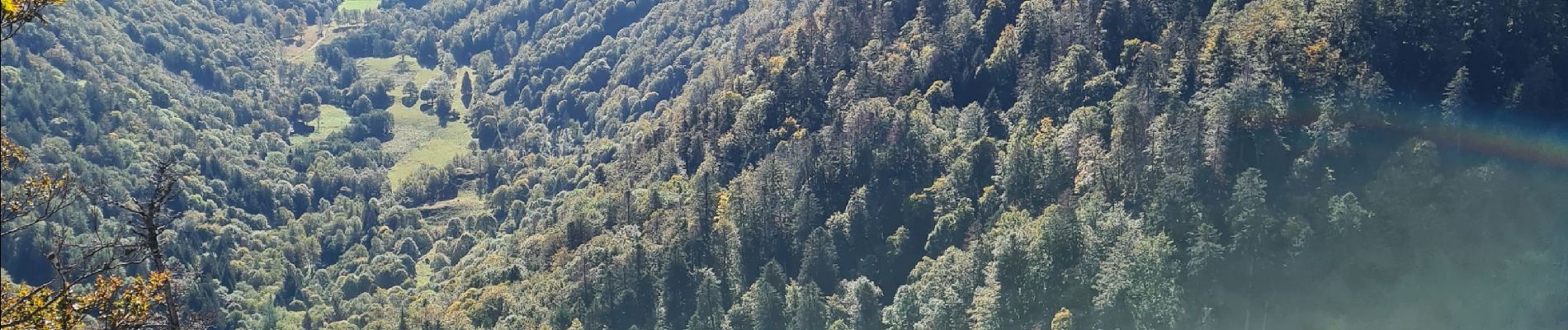 Tour Wandern Metzeral - Le belvédère du 1e Spitzkopf - Photo