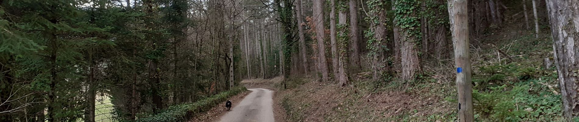 Tour Wandern Piégros-la-Clastre - chemin des maries retour Estour - Photo