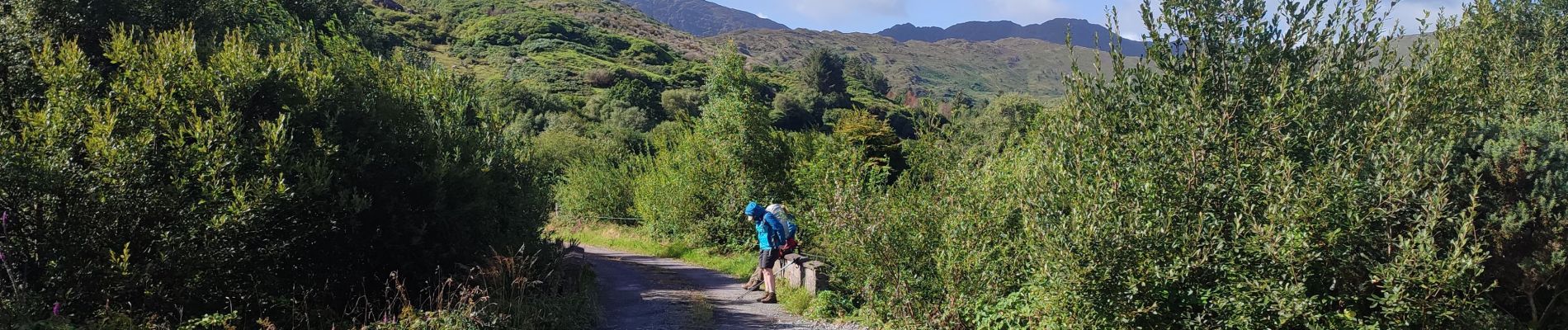 Tocht Stappen West Cork - Glengarriff - Ardrigole - Photo