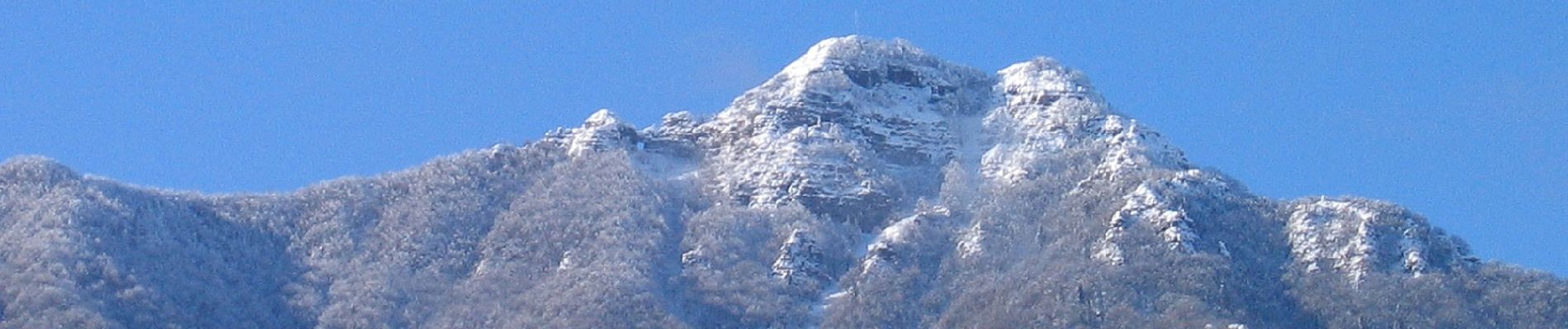 Tocht Te voet Schio - Cerbaro - Monte Priaforà - Photo