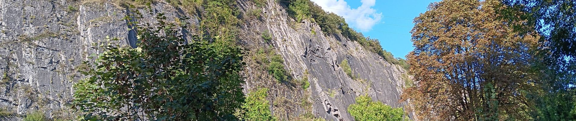 Tour Wandern Comblain-au-Pont - ambleve . pic de Napoléon . roches noires . ourthe  - Photo