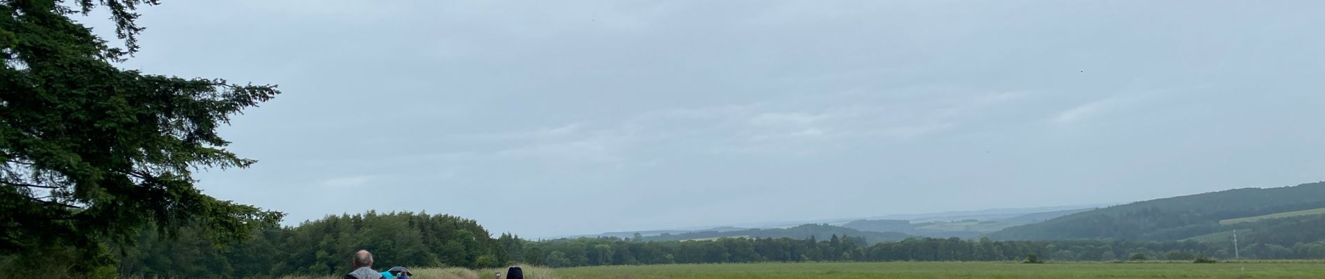 Randonnée Marche Nassogne - Grune -Nassogne - Photo