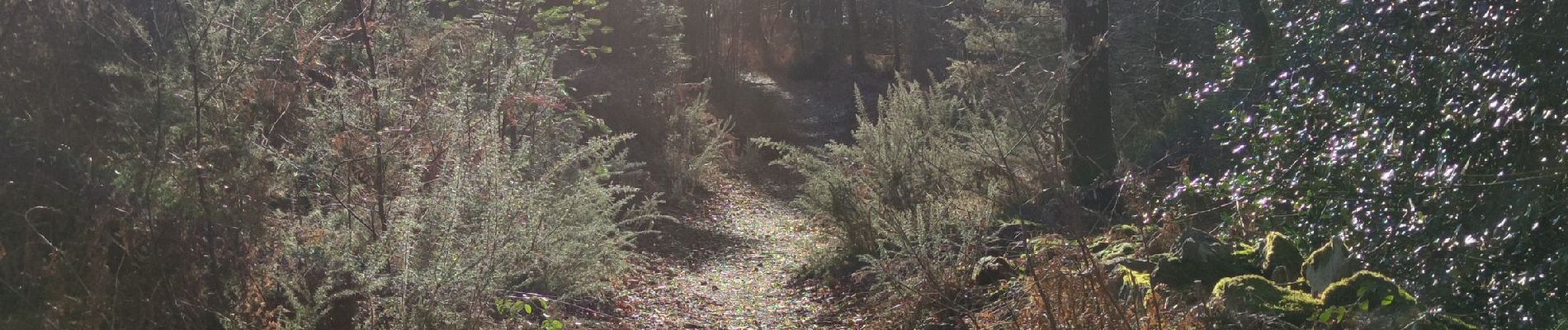 Percorso Marcia Saint-Ouen-le-Brisoult - Les Gorges de Villiers - Photo