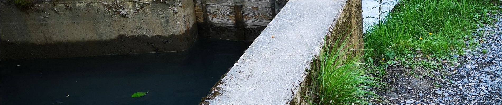 Trail Nordic walking Arbaz - 23.06.20 bisse de Grimisuat  - Photo