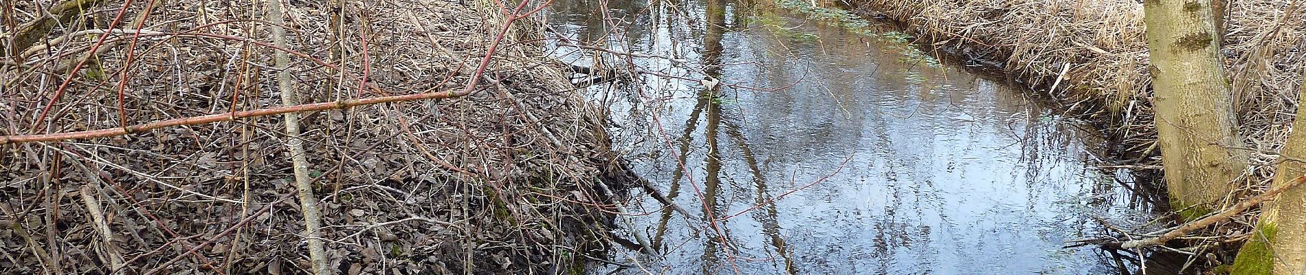 Tocht Te voet Bad Schussenried - Bad Schussenried: Wanderweg 5 - Photo