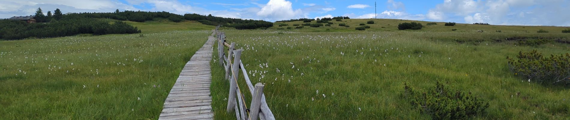 Randonnée Marche Villanders - Villandro - Villanderer Alm - Stöfflhütte et prairies marécageuses - Photo