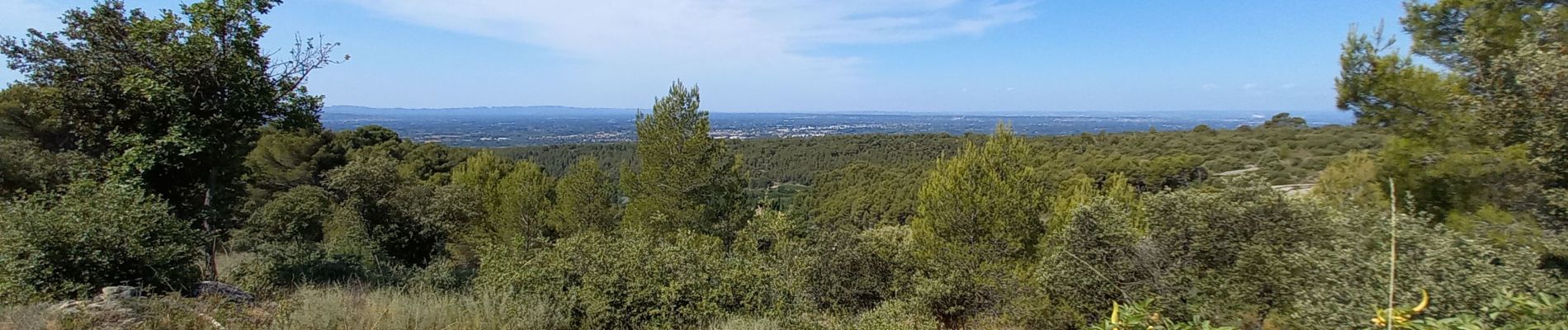 Trail Walking Saumane-de-Vaucluse - Saumane juilet 2021 - Photo