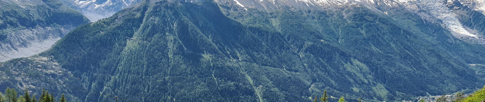 Trail Walking Chamonix-Mont-Blanc - TMB 10 variante - Tré le Champ -> Chamonix (via téléphérique de La Flégère) - Photo