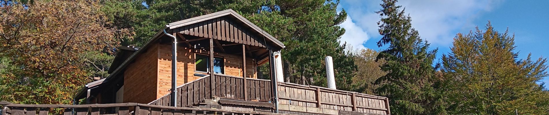 Randonnée Marche L'Albère - ullat - san-cristau / retour par la piste  - Photo