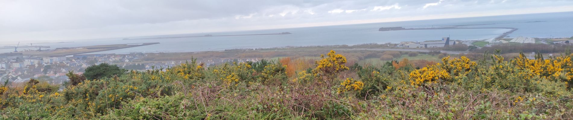 Tocht Stappen Cherbourg-en-Cotentin - Tourlaville - Collignon - Photo