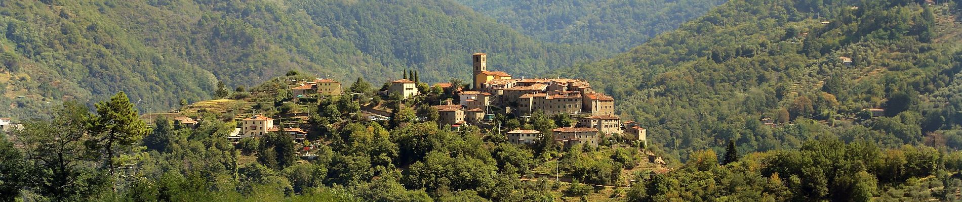 Trail On foot Pescia - IT-57 - Photo