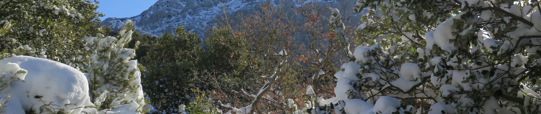 Randonnée Marche Gémenos - pic de bertagne - Photo