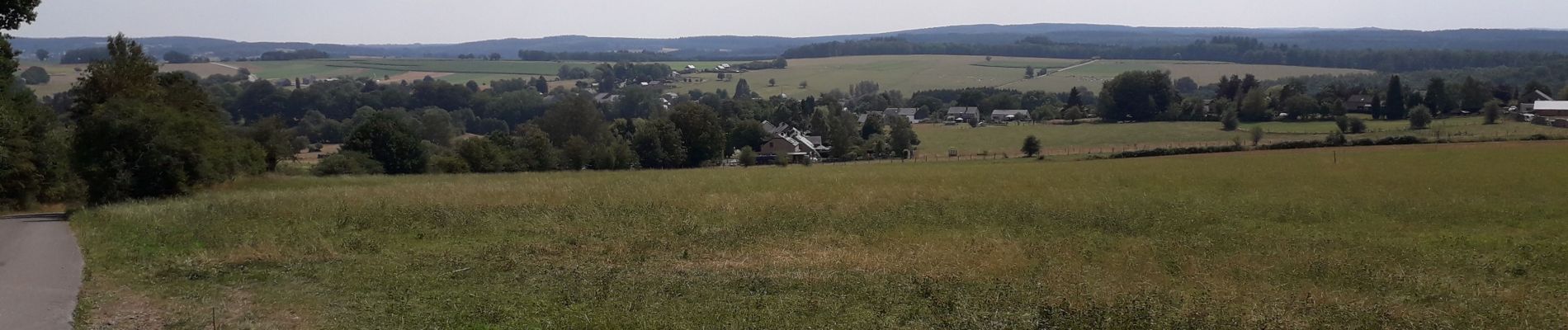 Tocht Stappen Saint-Hubert - arville 130820 - Photo