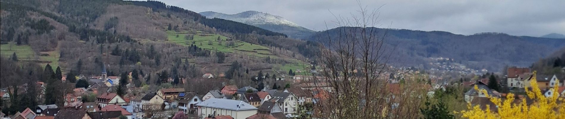 Tour Wandern Rothau - Rothau - Photo