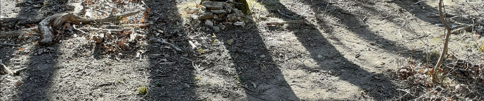 Tocht Stappen Le Poët-Laval - poet prairie furet - Photo