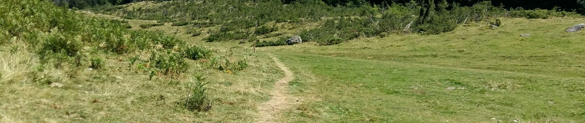 Randonnée A pied Bagnères-de-Bigorre - ARTIGUES à  PAYOLLE g4 fait 