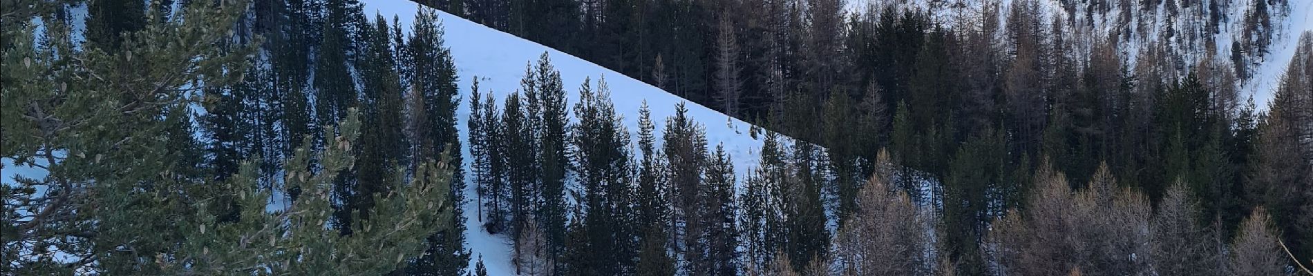 Tocht Ski randonnée Ceillac - col albert tête de rissace - Photo