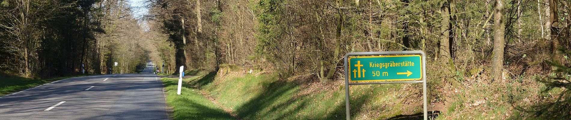 Randonnée A pied Aukrug - Ochsenschleichweg - Photo