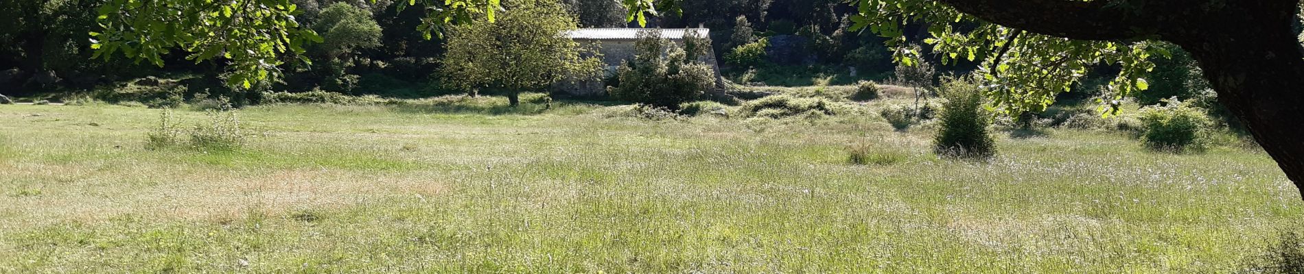 Excursión A pie Signes - Sioux Blanc,les bidoufles,le pas de Belgentier, les aiguilles et retour - Photo