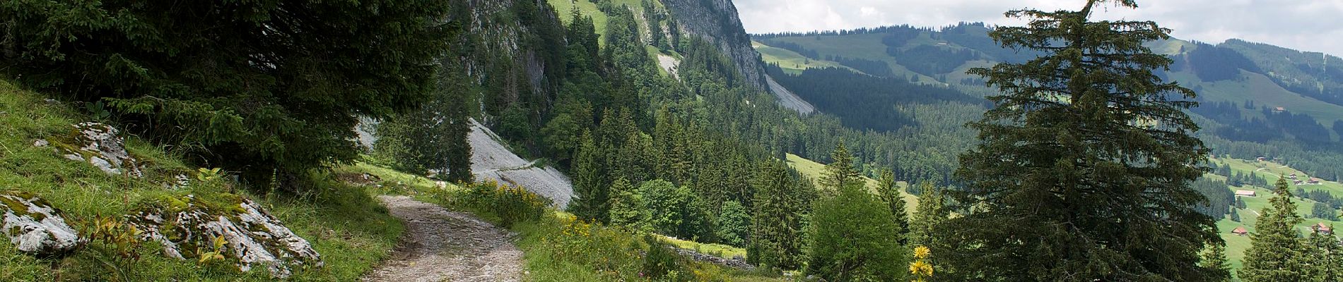 Trail On foot Schwyz - Mythenweg - fixme - Photo