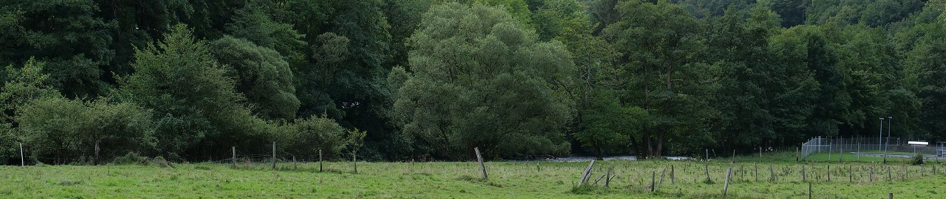 Tocht Te voet Heimbach - Heimbacher Burgen - Photo