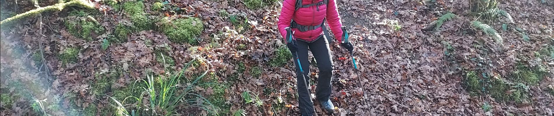 Randonnée Marche Salies-de-Béarn - salies de béarn G4  - Photo