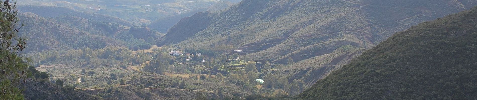 Excursión A pie Coín - Sendero El Nacimiento - Cerro Alaminos - Photo